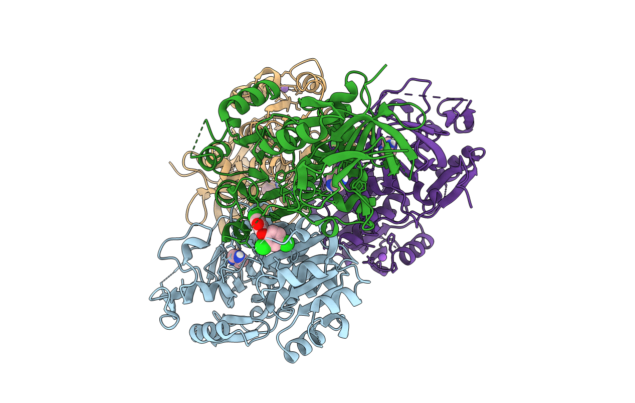 4W9N image