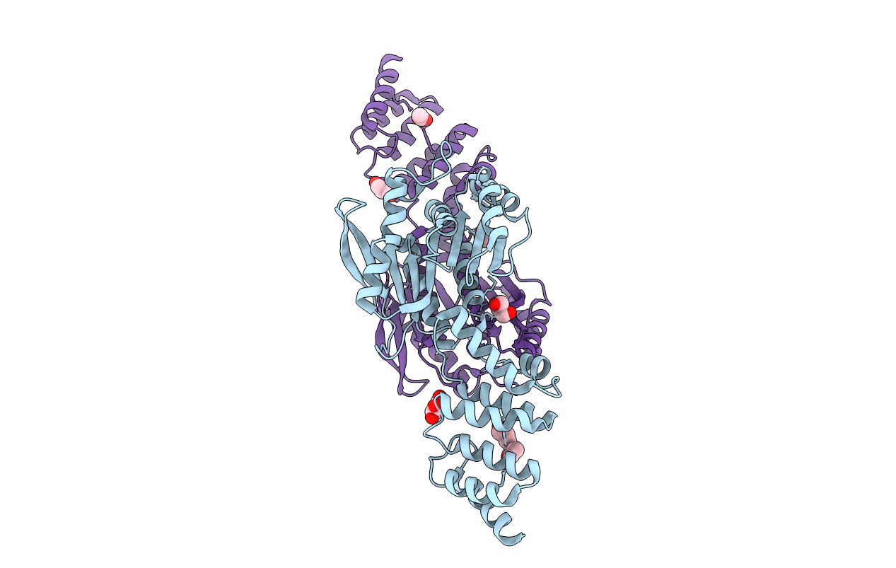 4W9R image