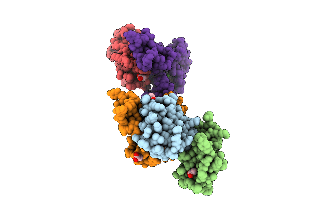 4WB2 image