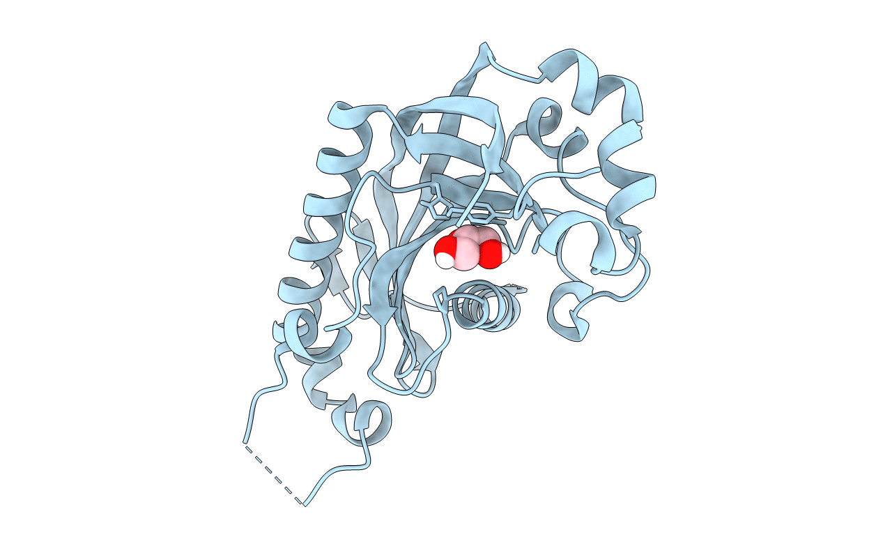 4WBL image
