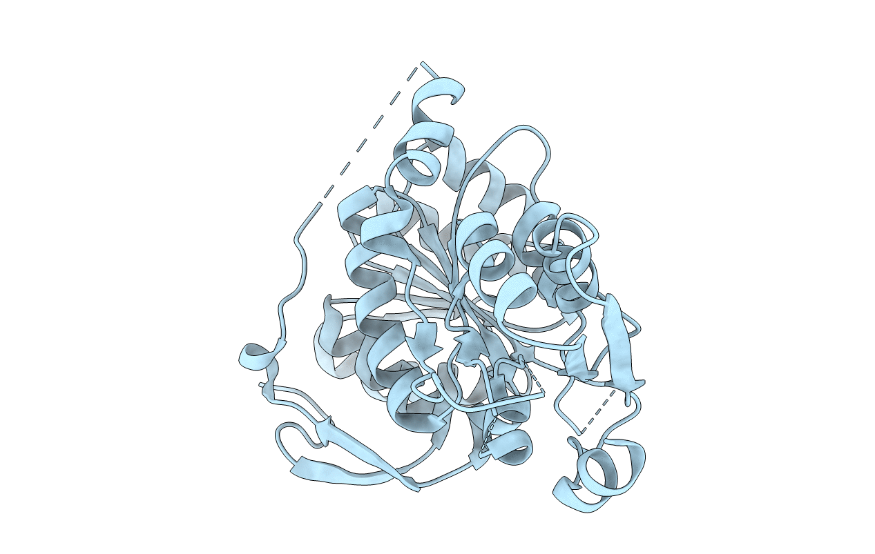 4WBX image
