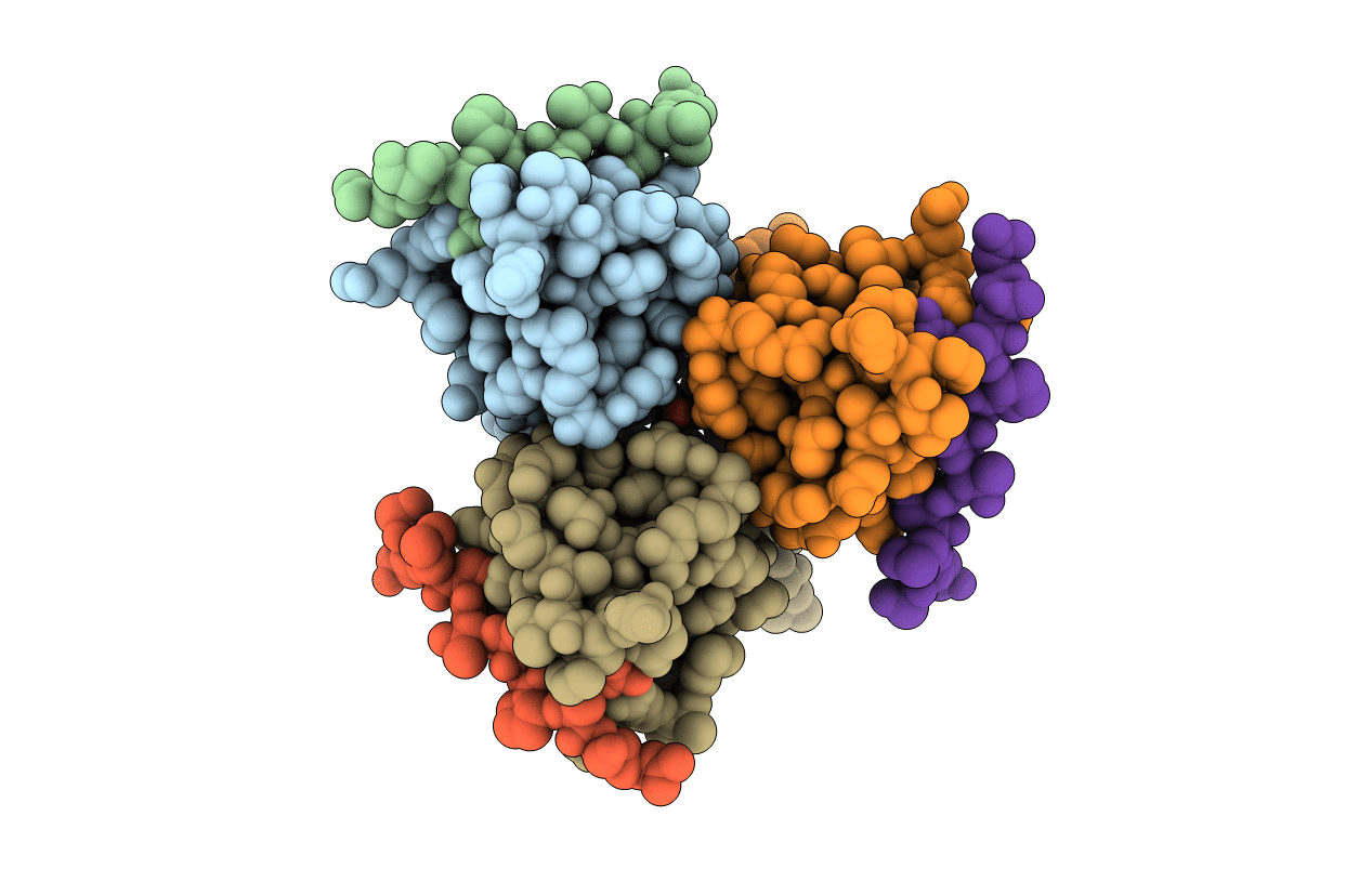 4WCI image