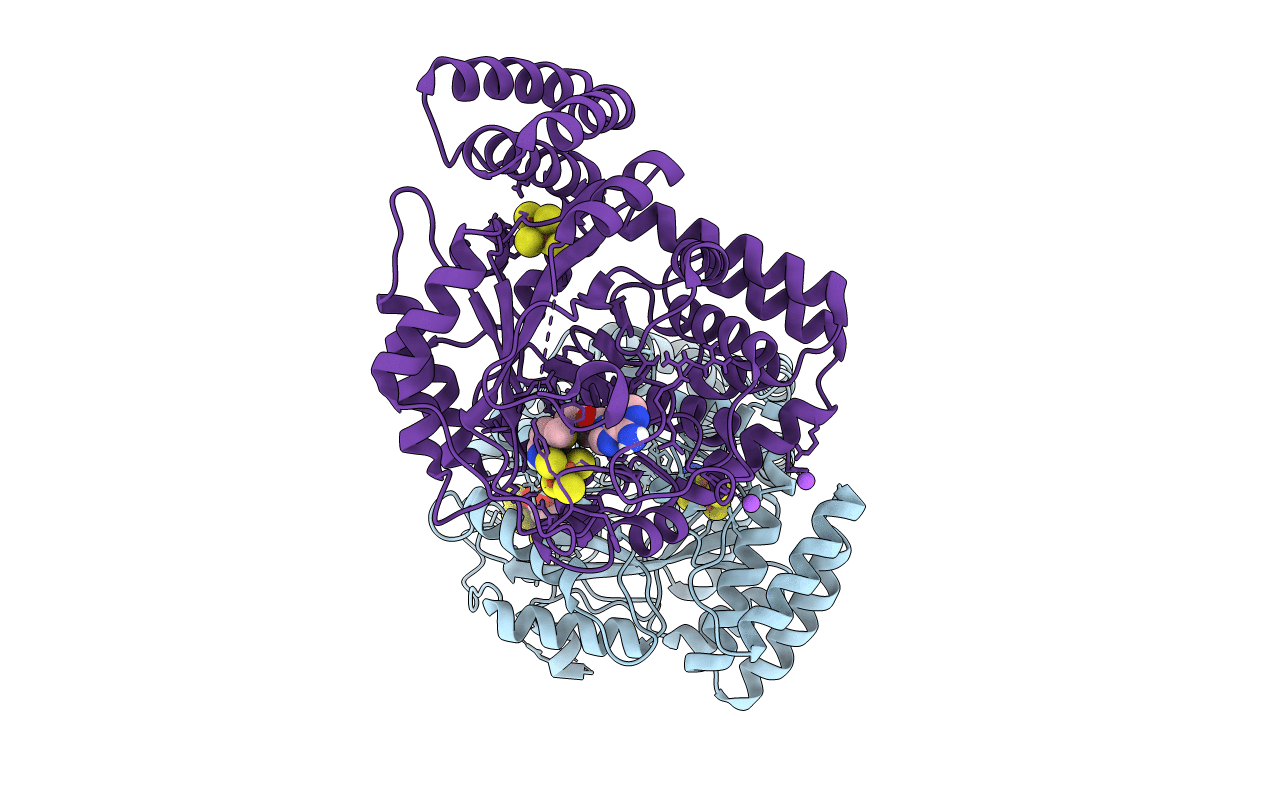 4WCX image