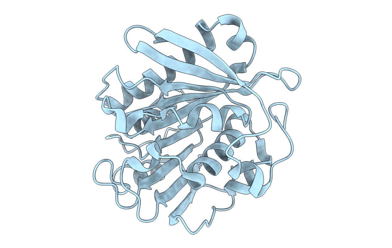 4WFI image