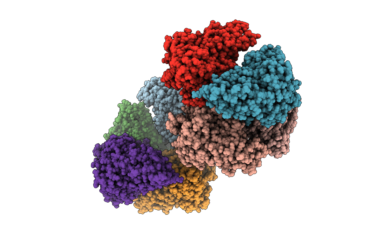 4WHB image