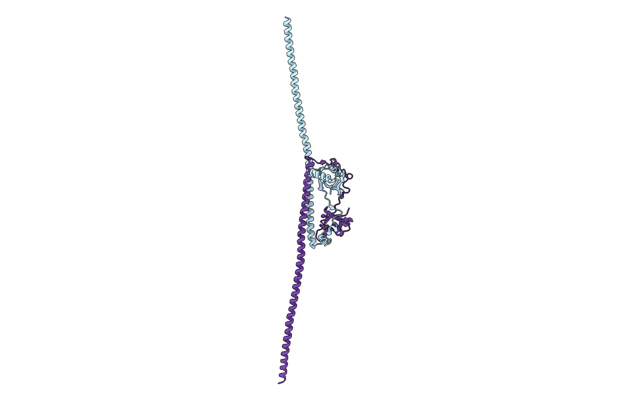 4WIK image