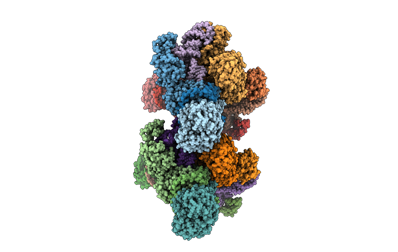4WJ3 image