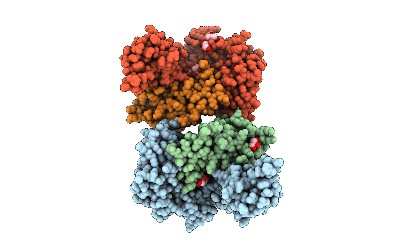 4WJ5 image