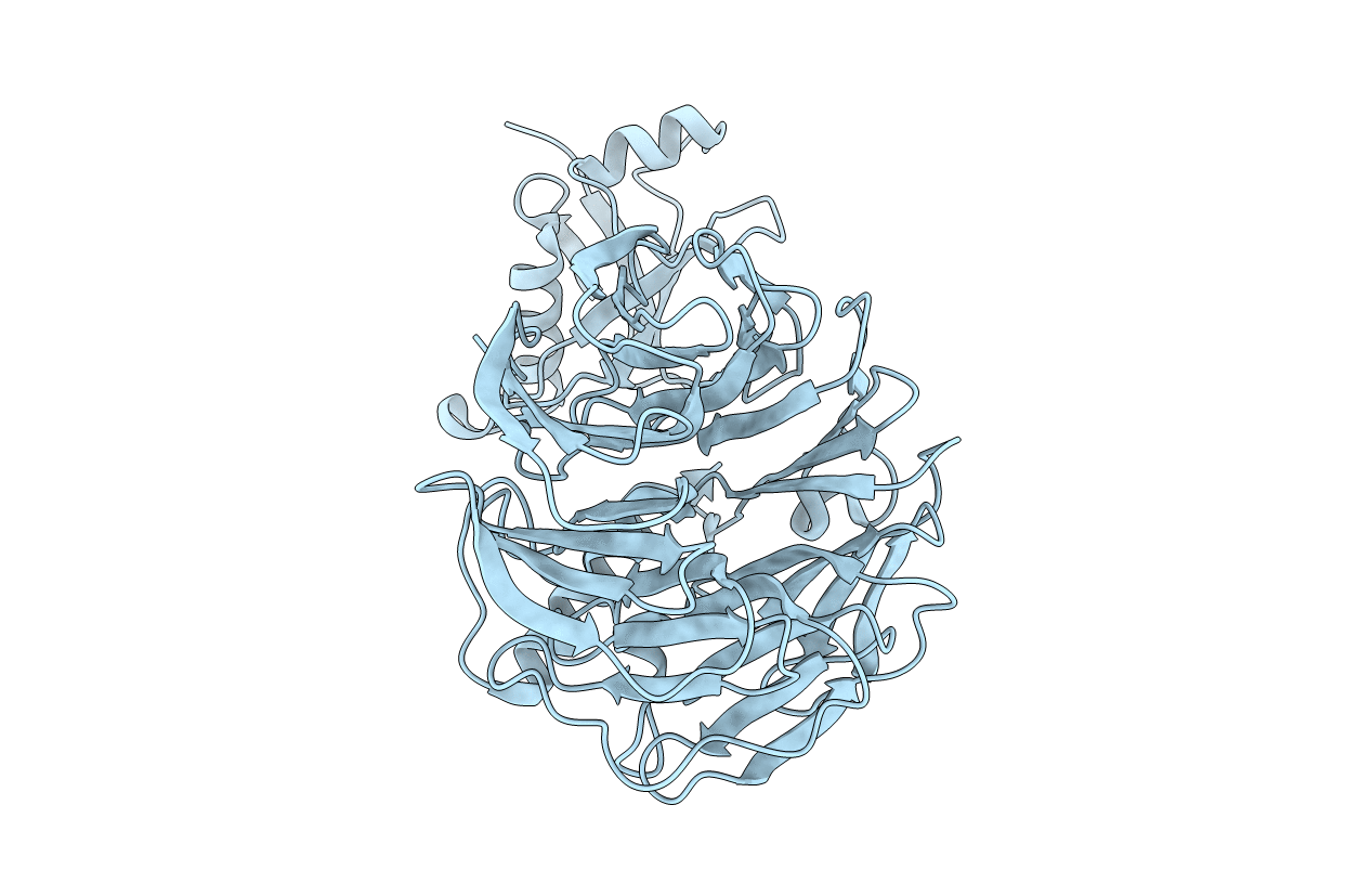 4WJS image