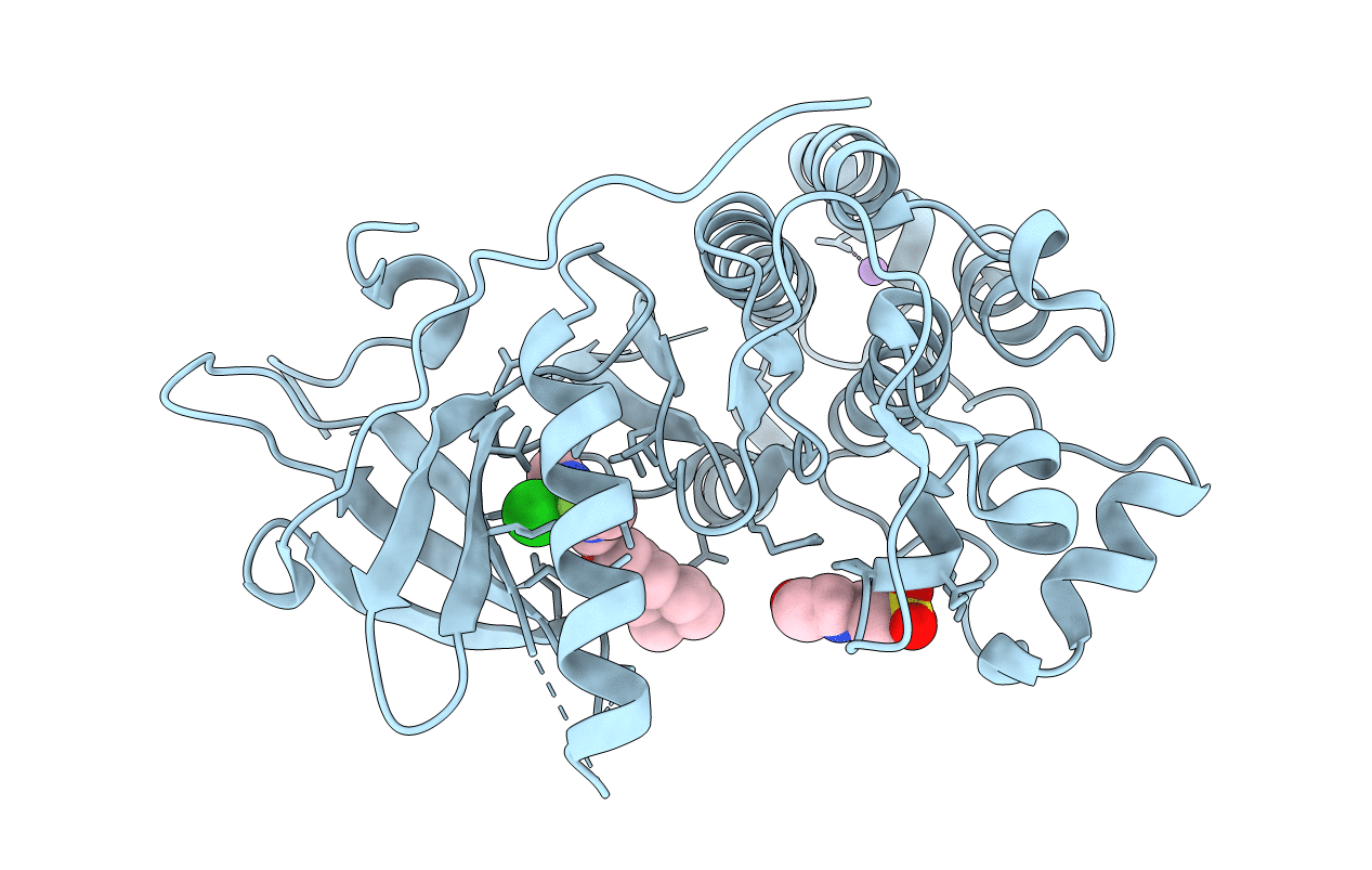 4WKQ image