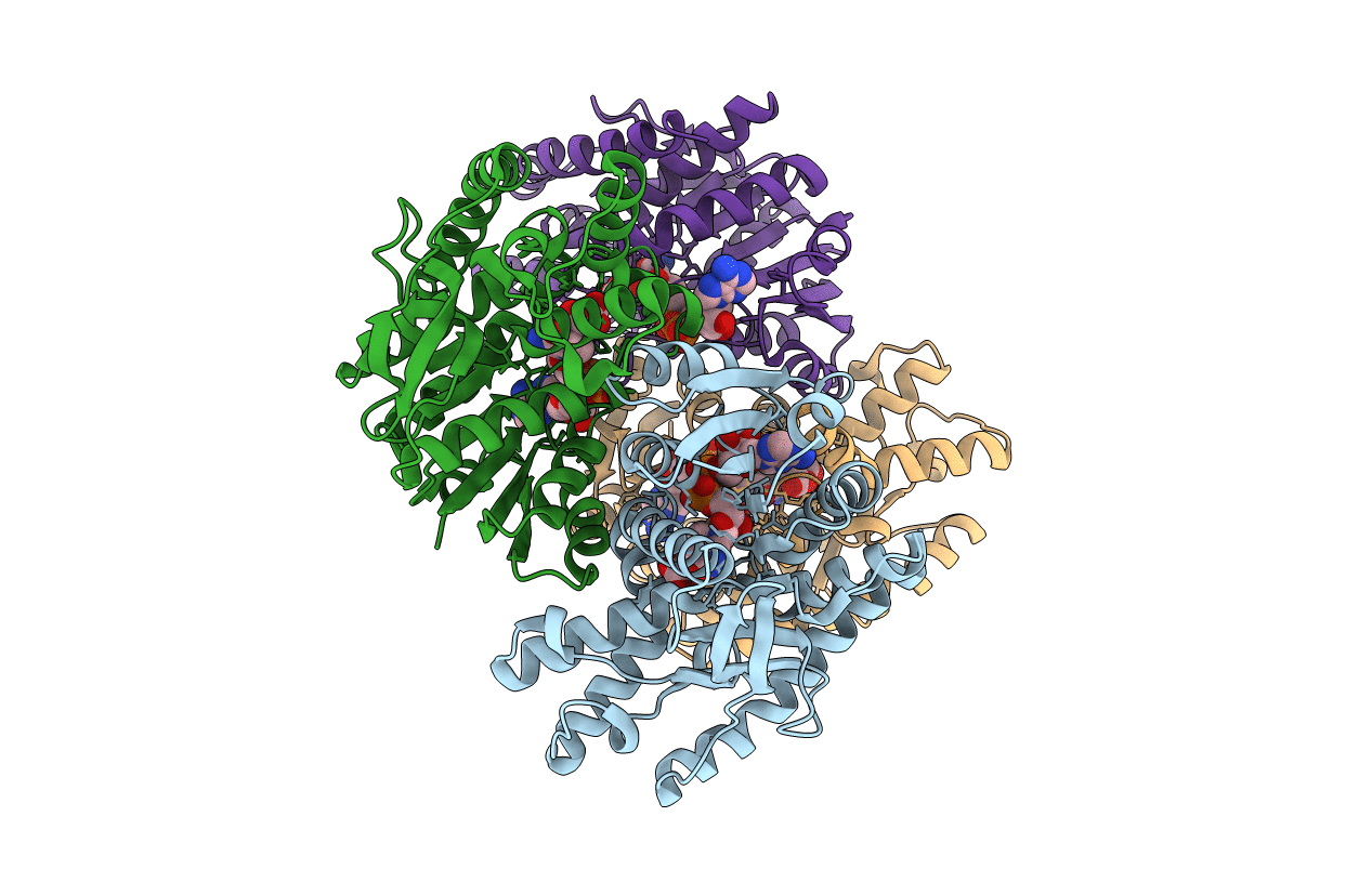 4WLU image