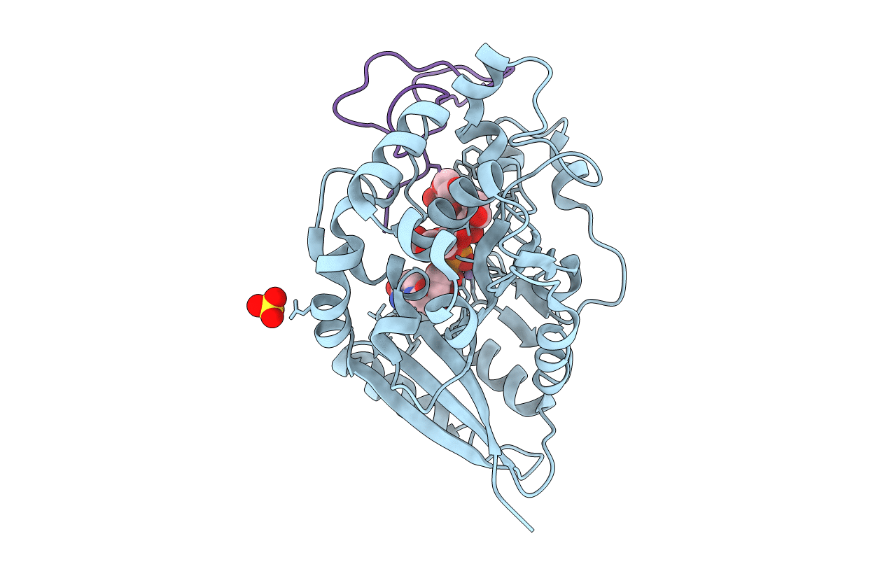 4WMA image