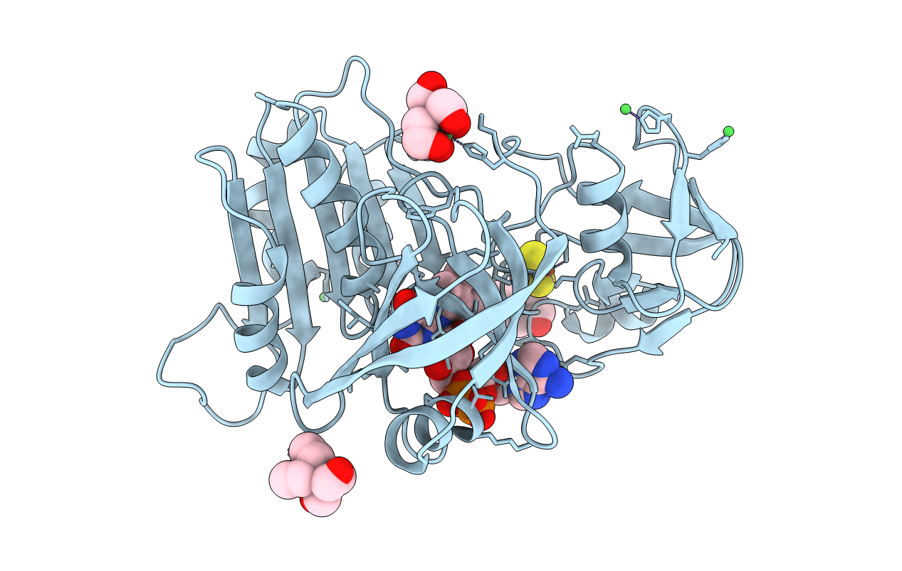 4WQM image