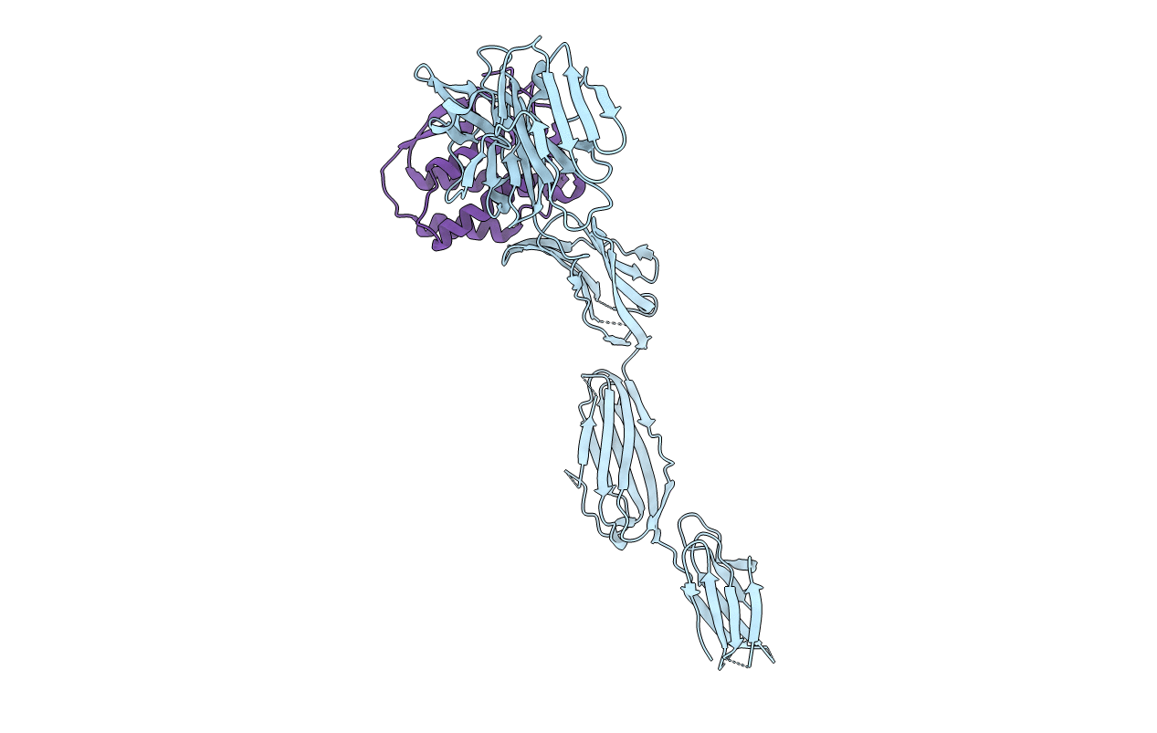 4WRM image