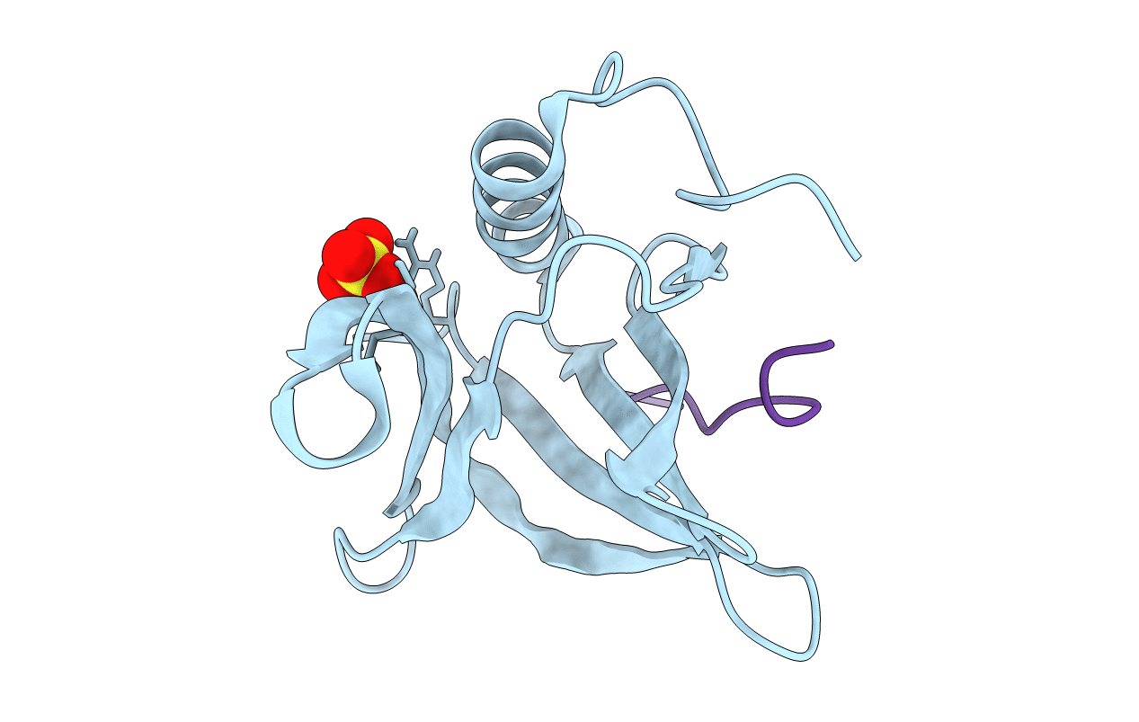 4WSF image