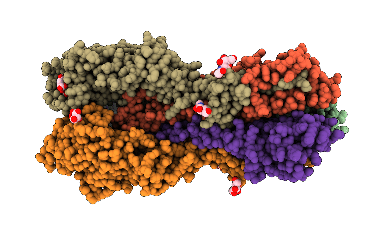 4WSU image