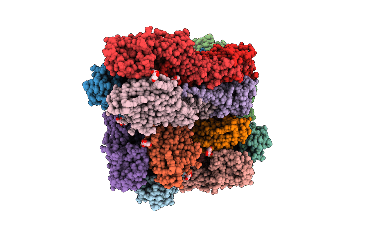 4WSX image