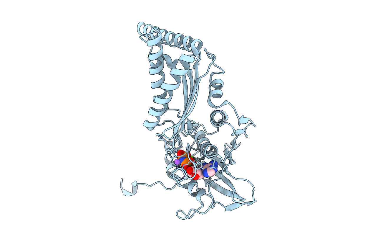 4WUC image