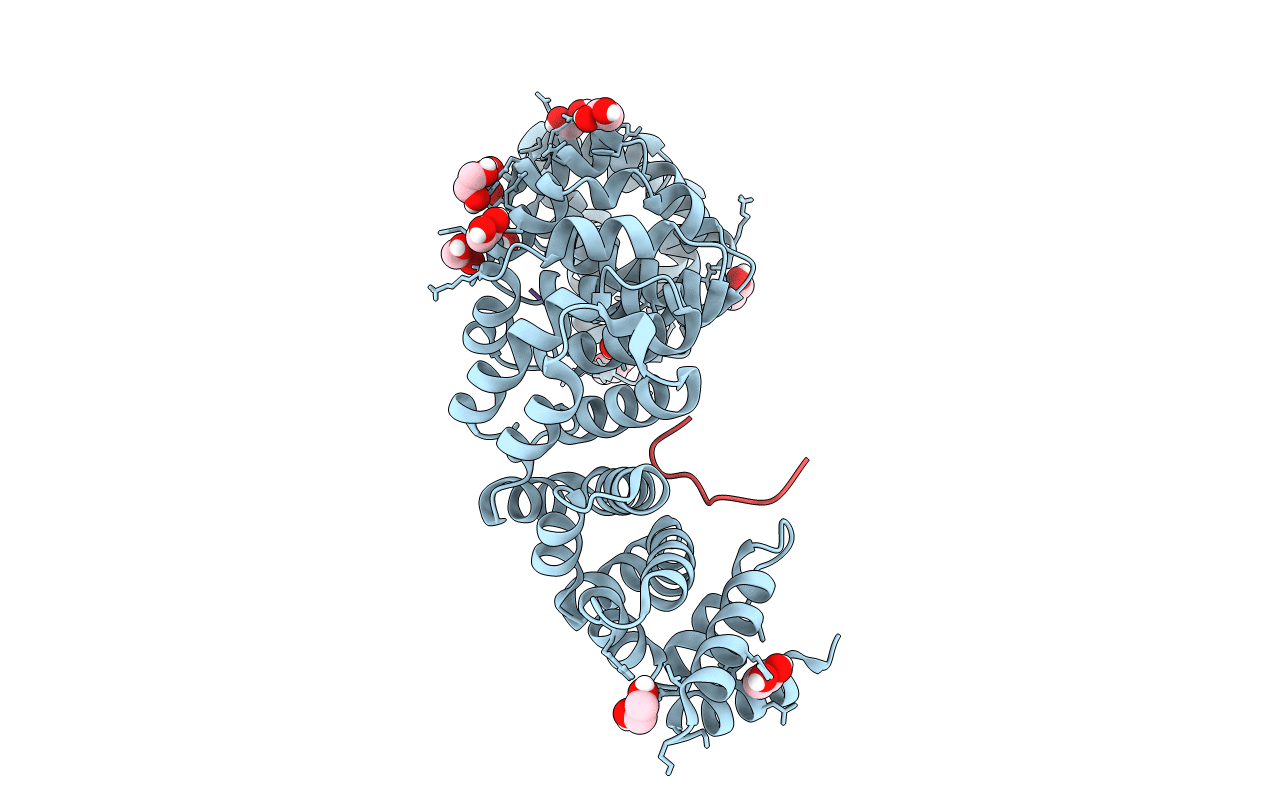 4WV6 image