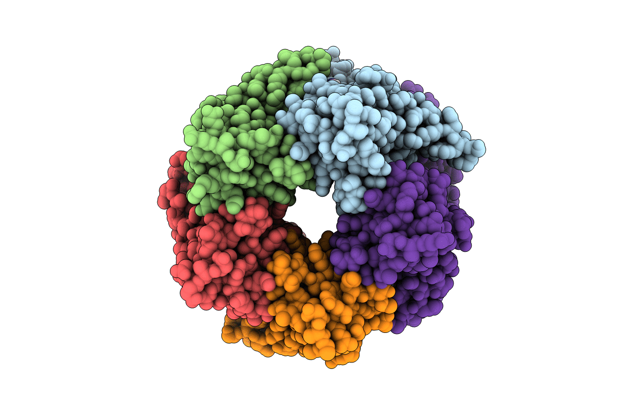 4WV9 image
