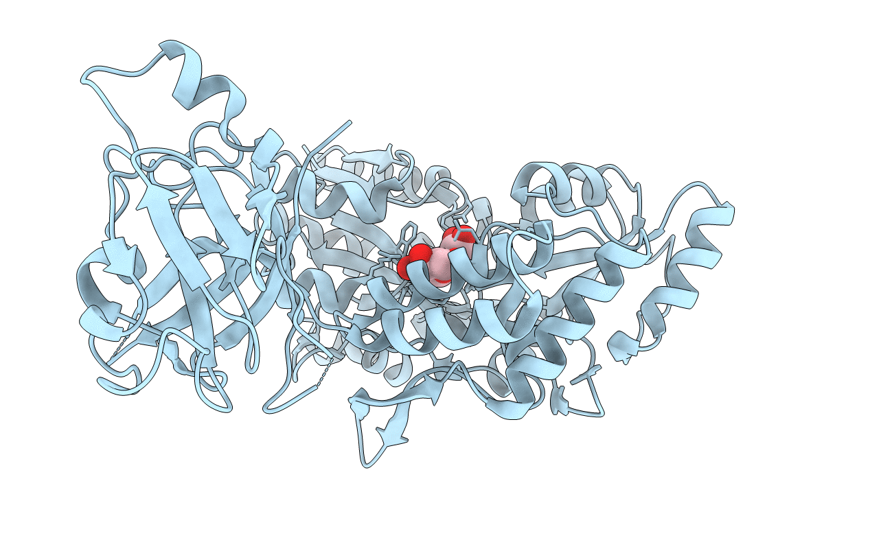 4WVG image