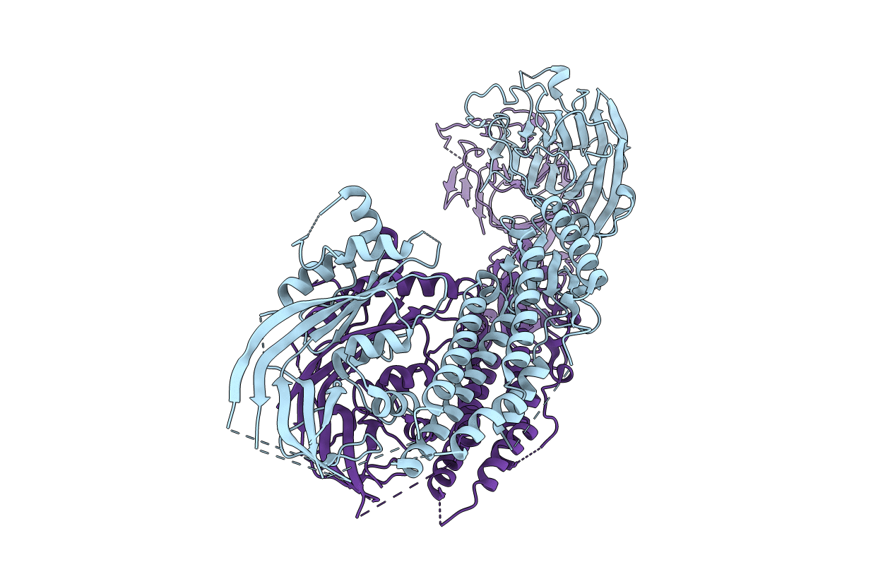 4WVM image