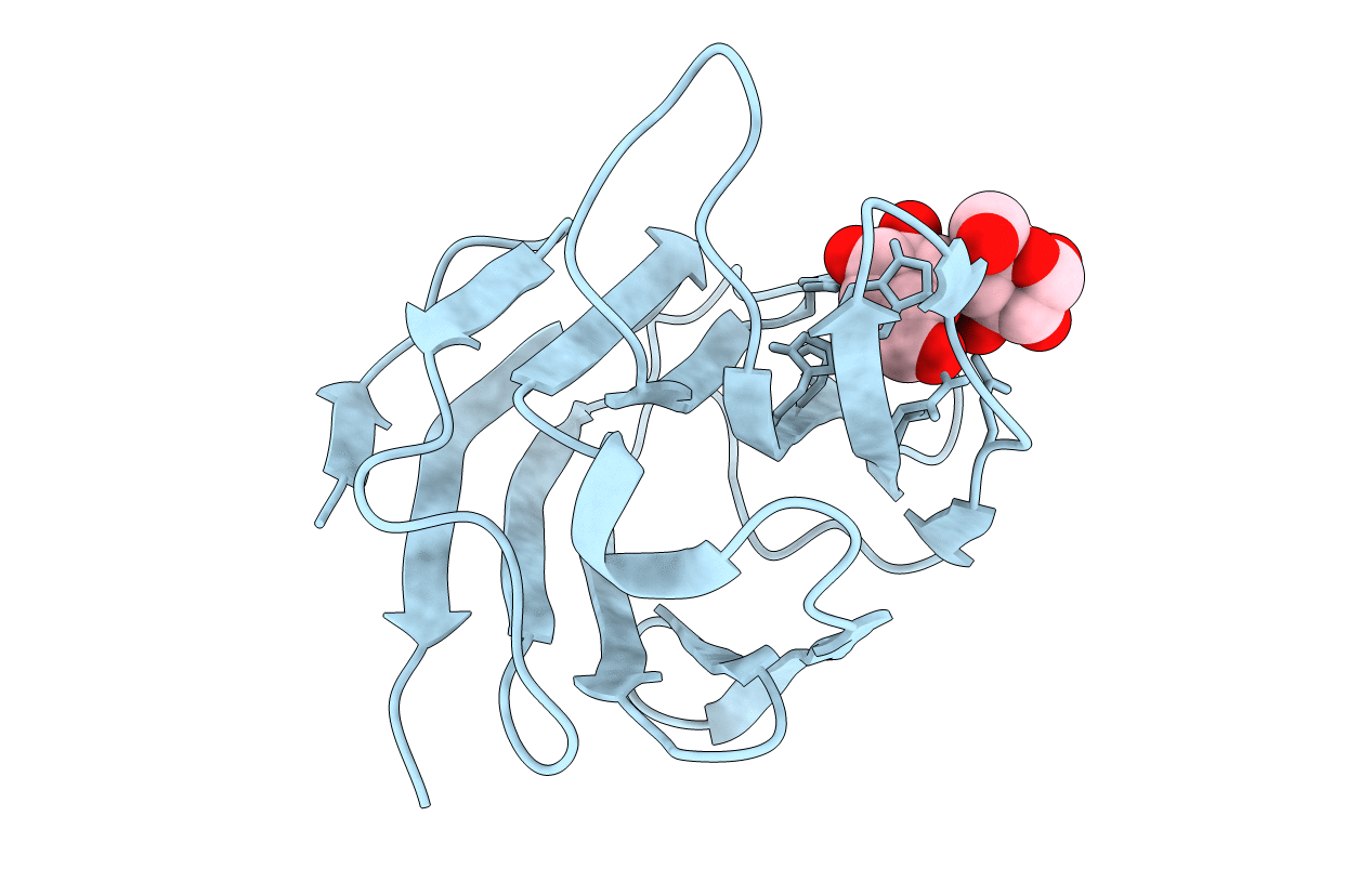 4WVV image