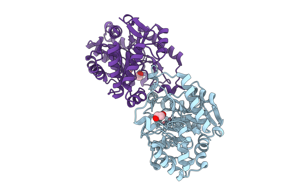 4WVX image