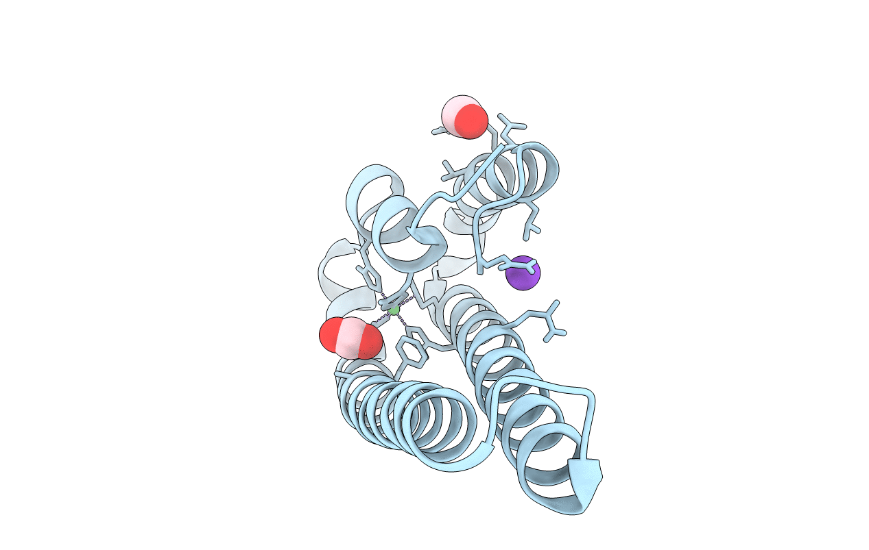 4WWB image