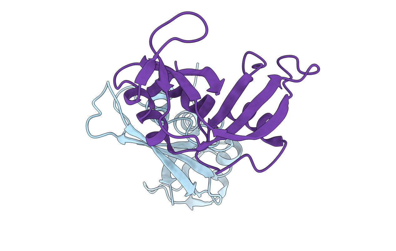 4WYN image