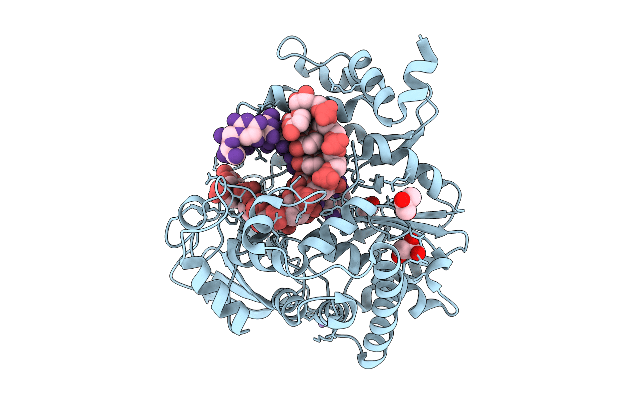 4WZM image