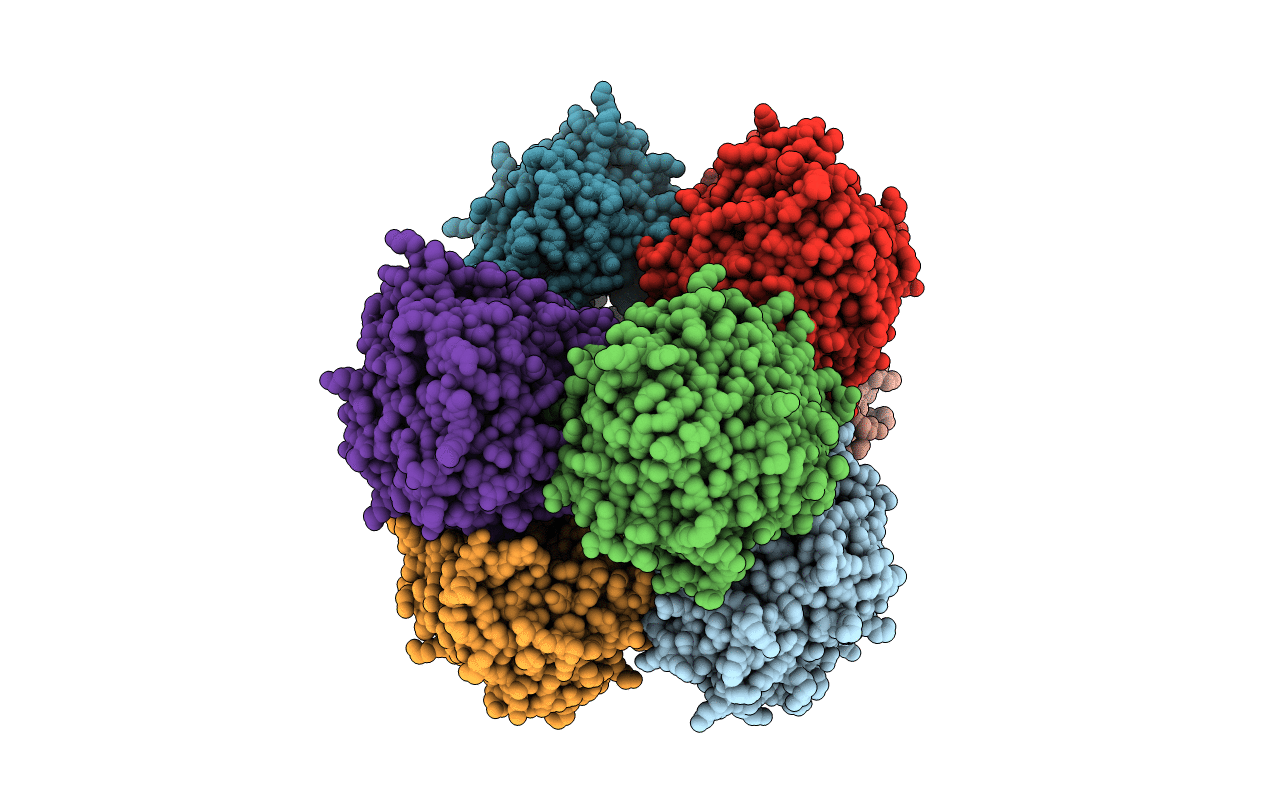4X0V image