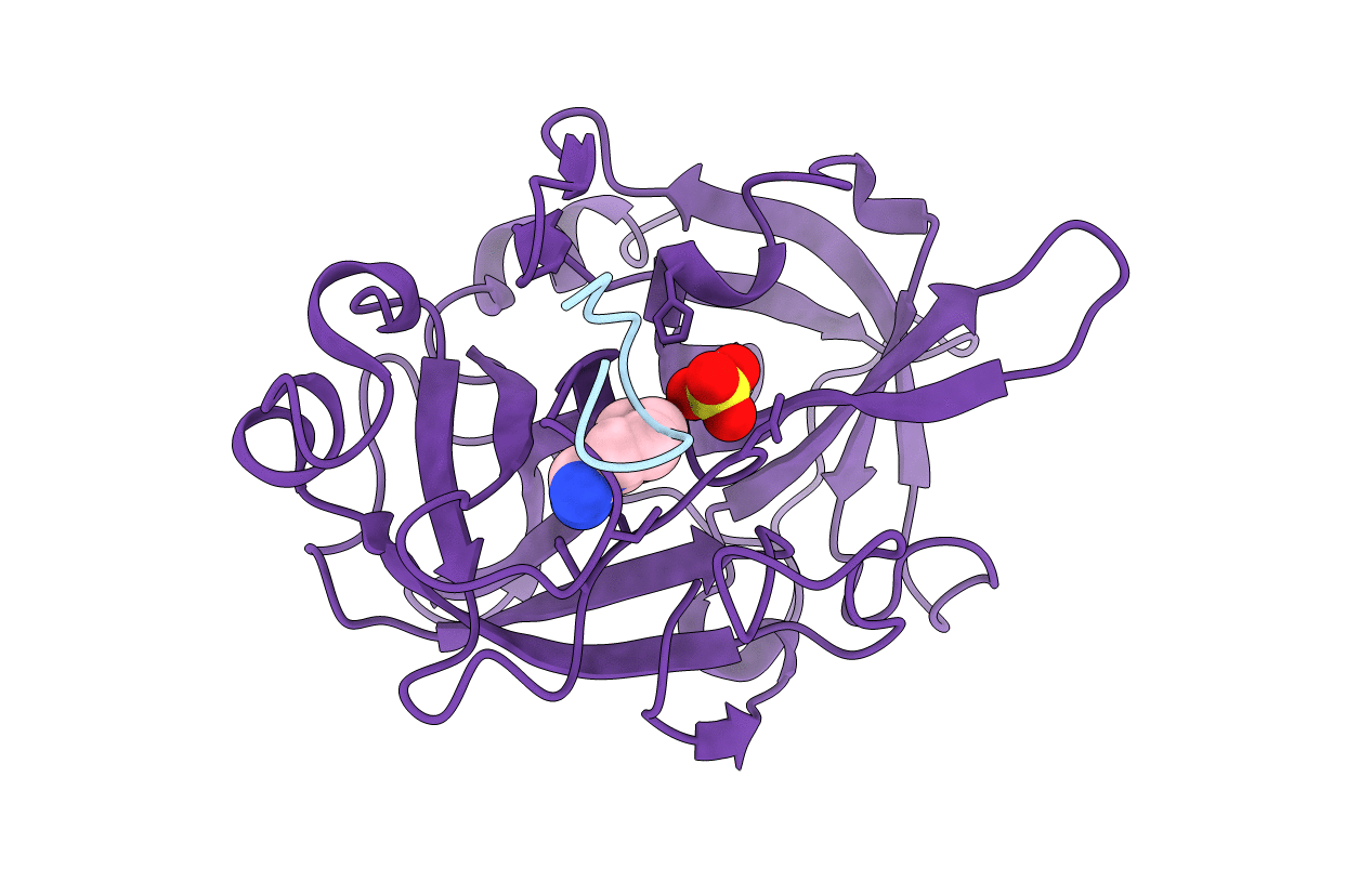 4X0W image