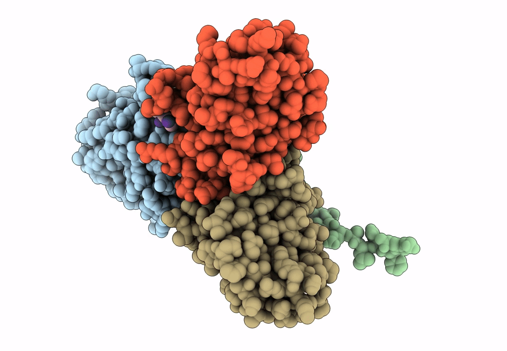 4X2V image