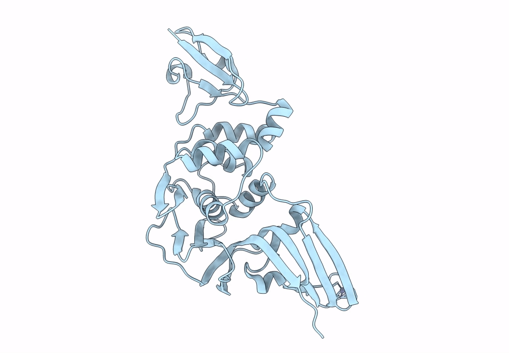 4X2Z image