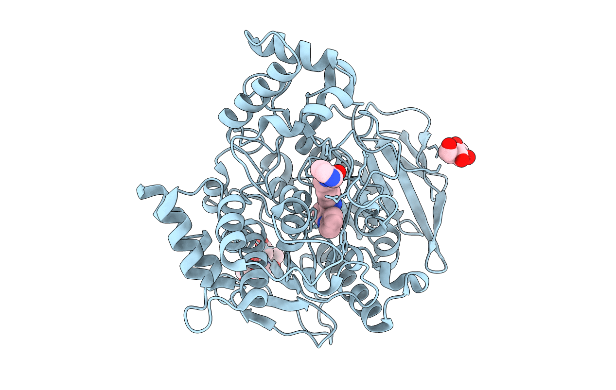 4X3C image