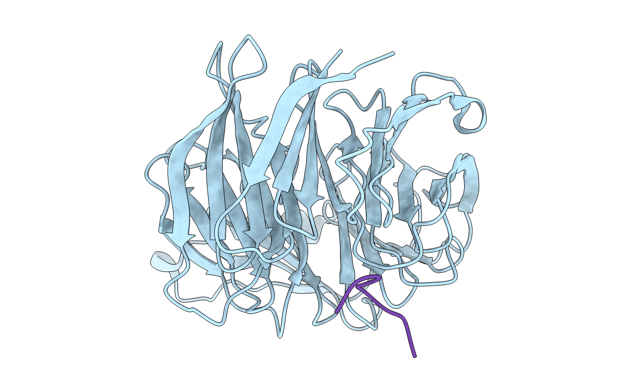 4X3E image