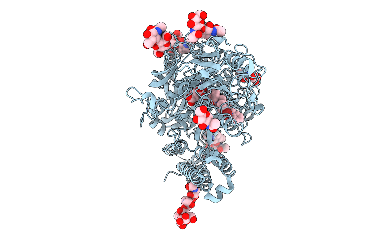 4X3R image