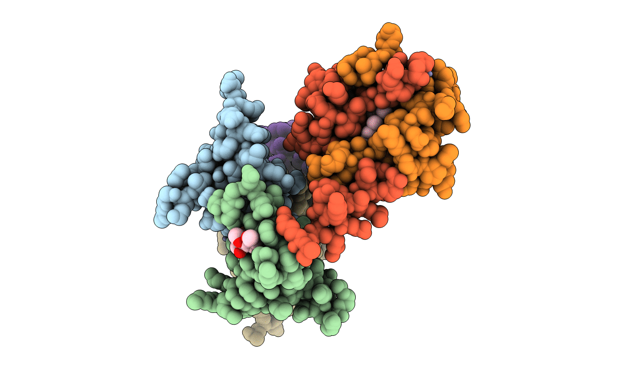 4X3T image