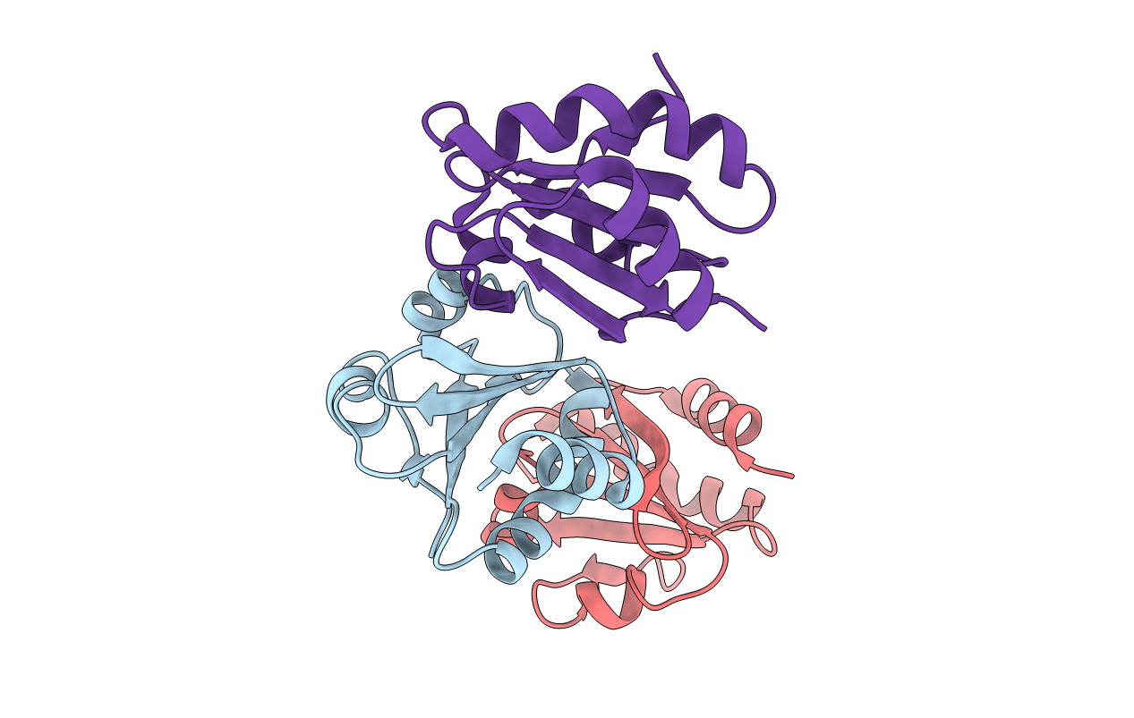 4X43 image