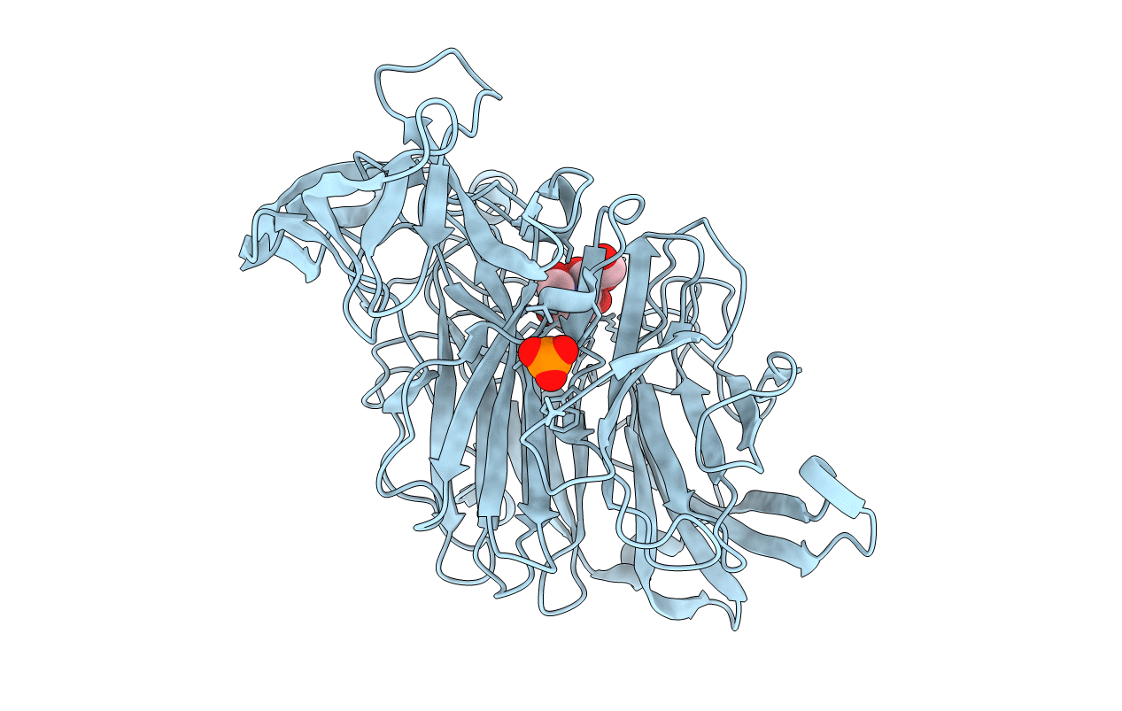 4X47 image