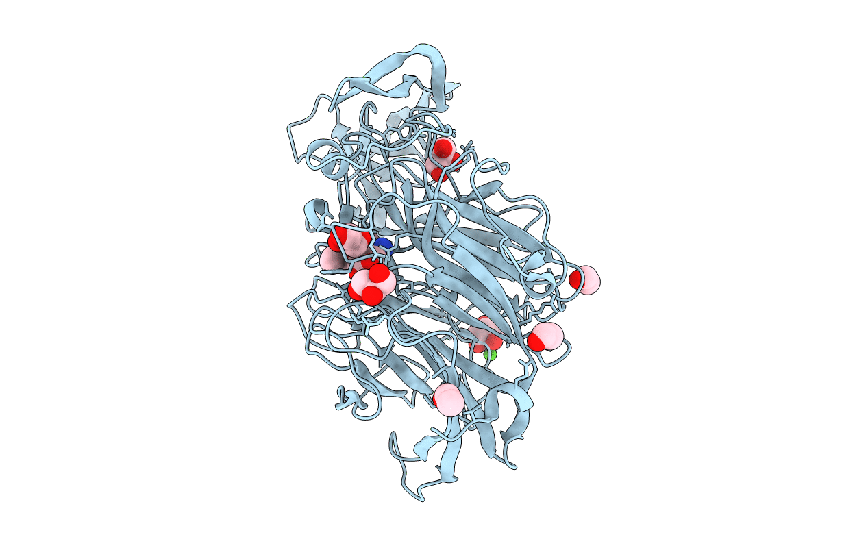 4X49 image