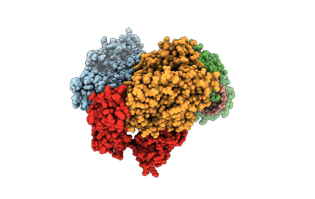 4X4N image