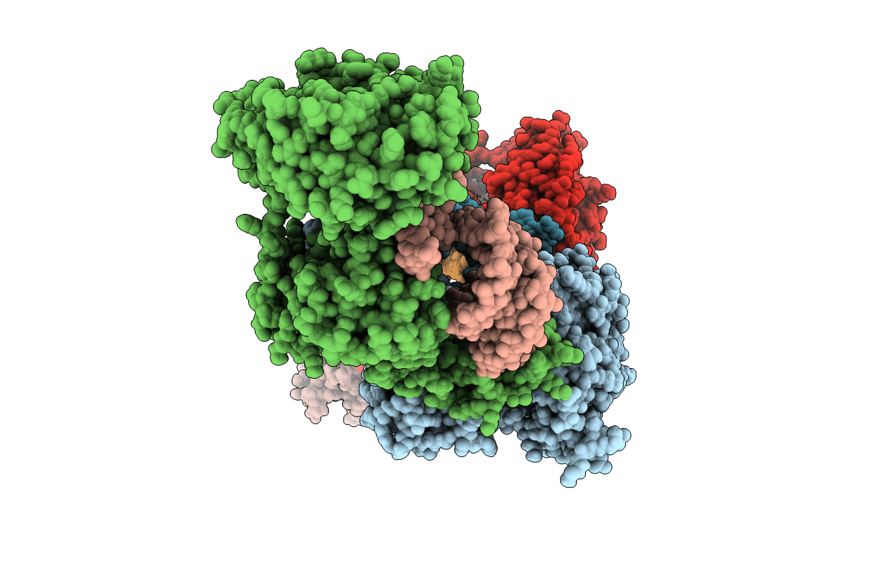 4X4P image