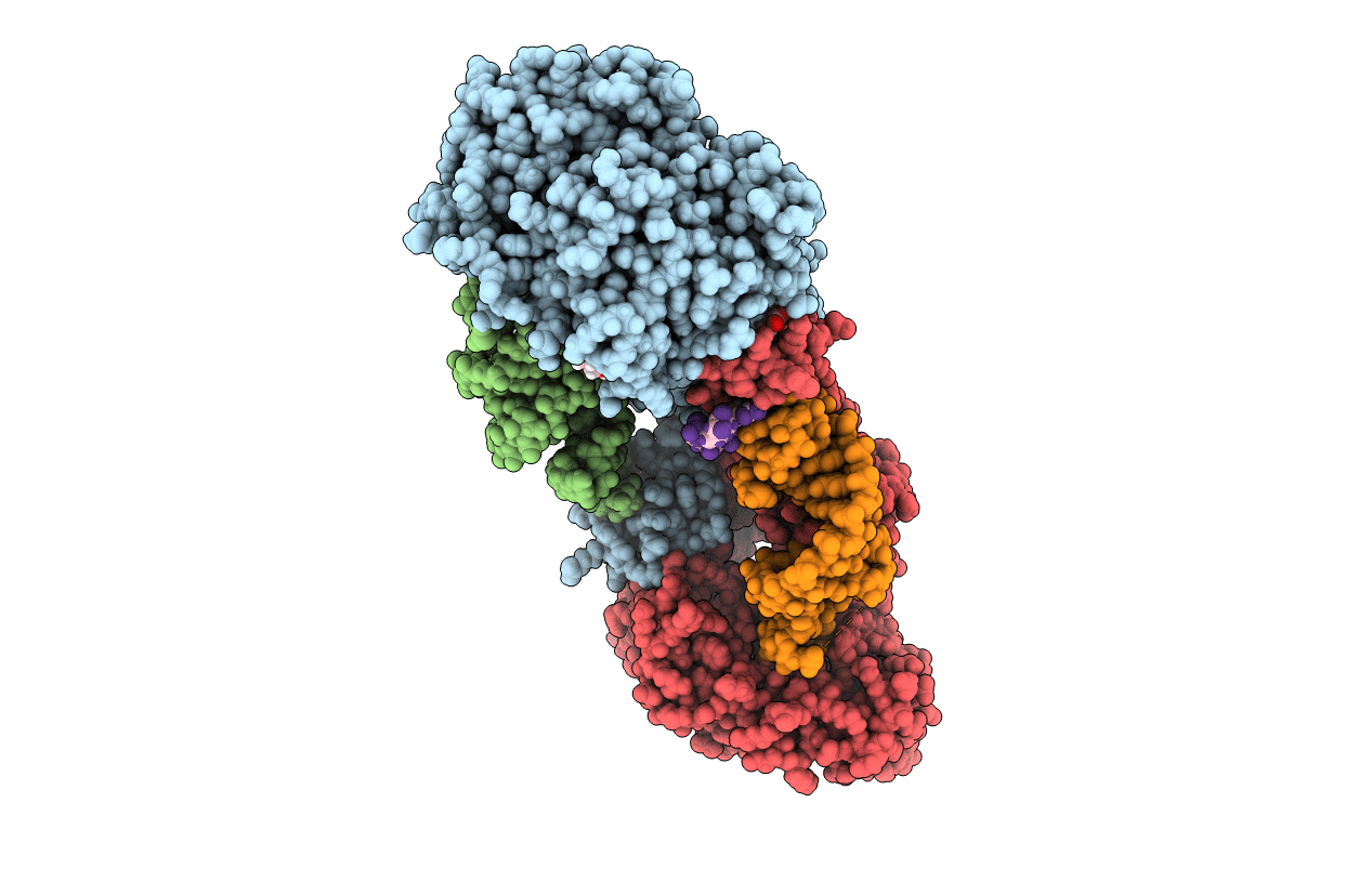 4X4R image