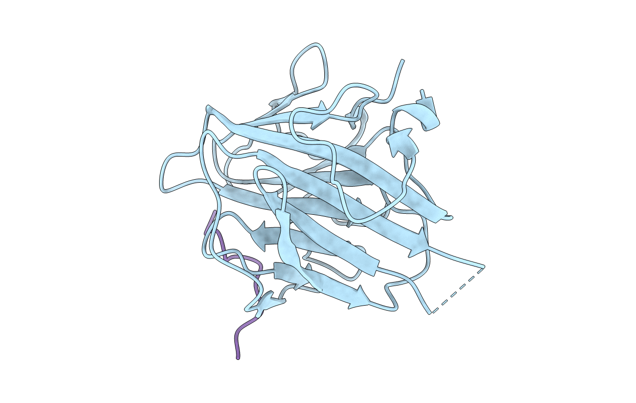 4X8N image