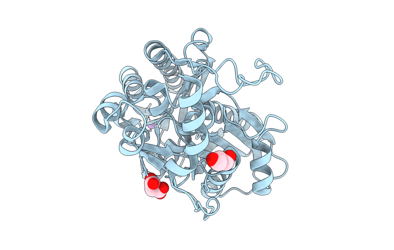 4X9K image