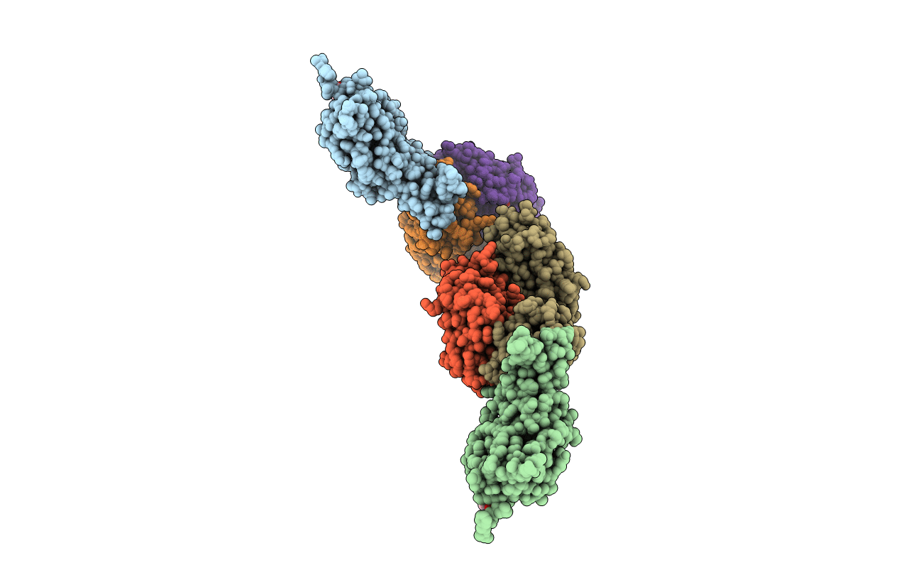 4XAK image