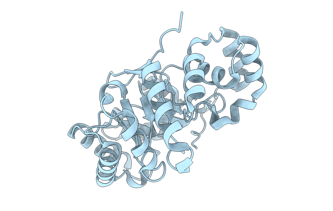 4XAP image