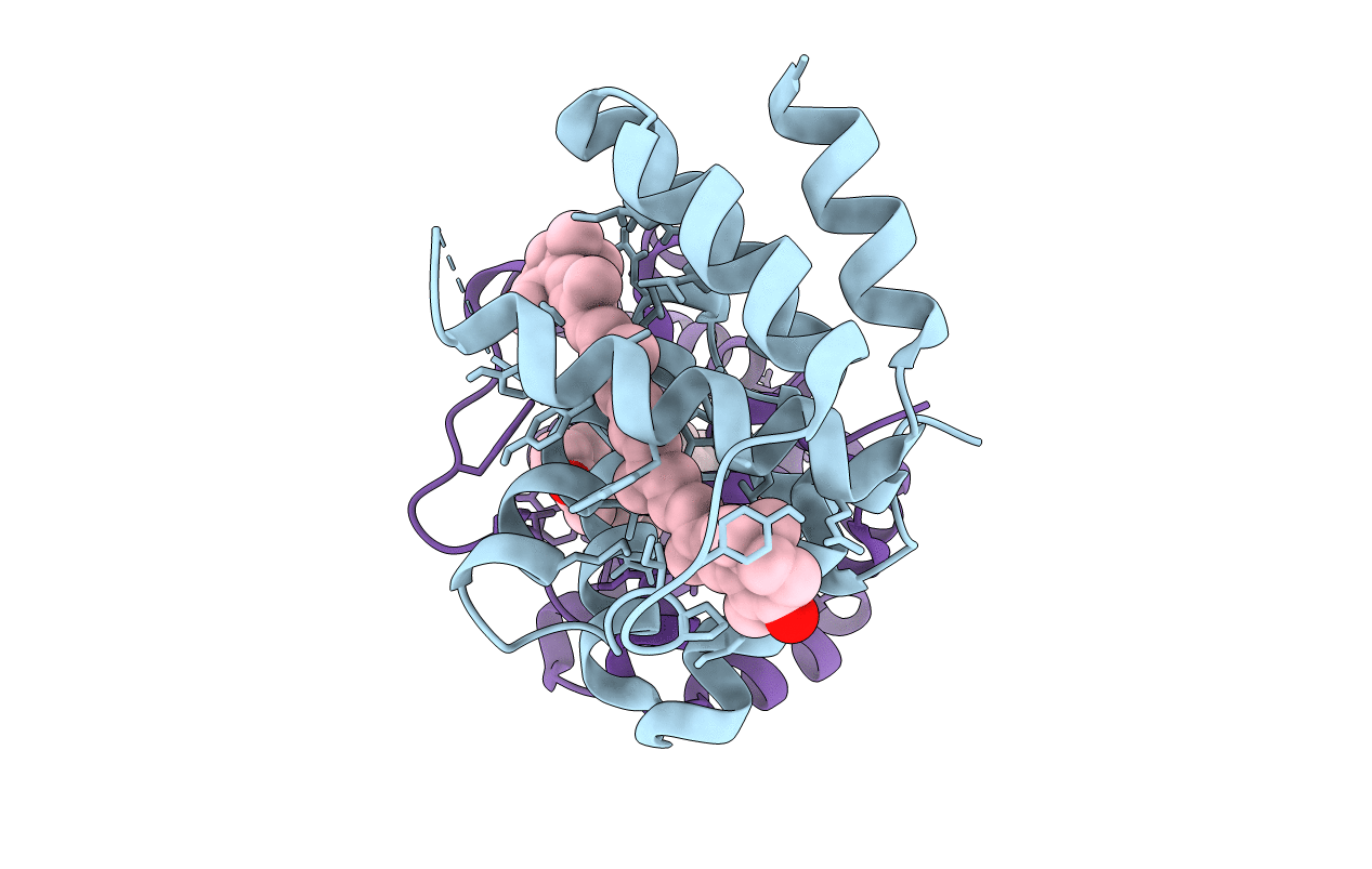 4XB4 image